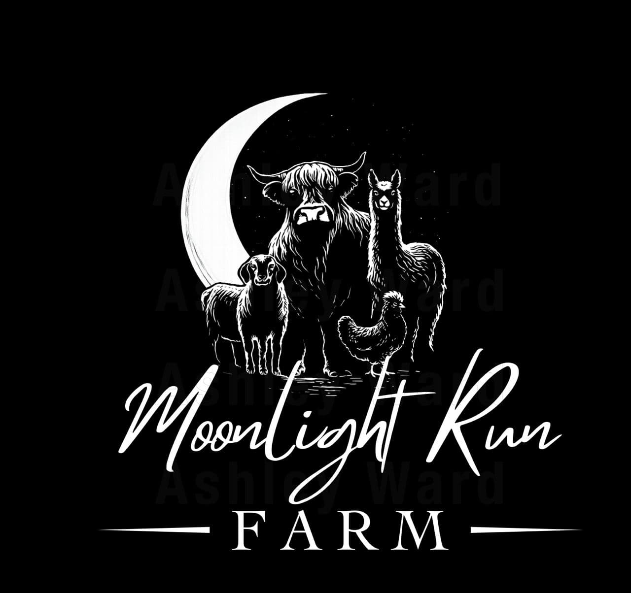 Moonlight Run Farm — Highland Cattle, Llama, Goat & Chicken under the moon